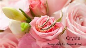  Presentation with pink wedding - PPT layouts consisting of wedding-rings-on-a-pink background and a coral colored foreground