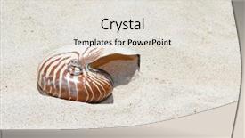  Presentation with tropical wedding - Beautiful PPT layouts featuring wedding rings on a shell on sand tropical beach backdrop and a lemonade colored foreground