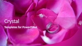  Presentation with wedding rings - Theme having wedding rings on rose petals background and a violet colored foreground