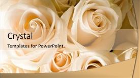  Presentation with wedding - Presentation theme enhanced with wedding shower - beautiful flowers background and a lemonade colored foreground