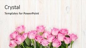  Presentation with pink wedding - Colorful PPT theme enhanced with wedding vintage - pink roses bouquet over wooden backdrop and a cream colored foreground