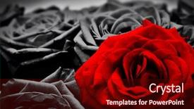  Presentation with mothers - Audience pleasing PPT layouts consisting of wedding vintage - romantic greeting card of red backdrop and a wine colored foreground