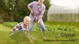  Presentation with weed - Cool new slide set with weed - farming gardening agriculture and people backdrop and a gold colored foreground