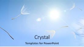  Presentation with dandelion - Slide set featuring weed - flying dandelion seeds background and a light blue colored foreground