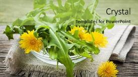  Presentation with weed - Amazing PPT theme having weed - foraged edible dandelion flowers backdrop and a yellow colored foreground