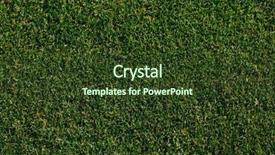  Presentation with grass - Colorful presentation theme enhanced with weed - green grass texture top view backdrop and a tawny brown colored foreground