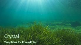  Presentation with weed - Slide set with weed - green sea grass underwater background and a tawny brown colored foreground