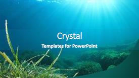  Presentation with seaweed - PPT layouts having weed - underwater ocean seaweed background and a teal colored foreground