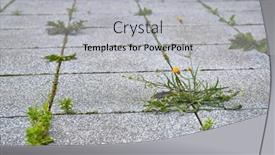  Presentation with weed - Slide deck with weed-growing-between-abandoned-pavement background and a light gray colored foreground