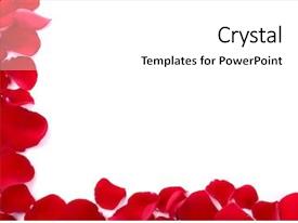 Slides Border Roses Rose Petals Border Background Of PPT template 15 | CrystalGraphics