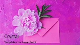  Presentation with peony flower - Cool new slide set with pink envelope with beautiful peony backdrop and a lilac colored foreground