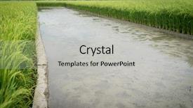  Presentation with swamp - Presentation with weeding decoraters - swamp rive water float surface background and a light gray colored foreground