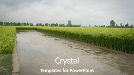  Presentation with swamp - Presentation theme featuring weeding decoraters - swamp rive water float surface background and a gray colored foreground