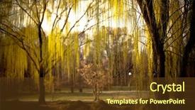  Presentation with willow tree - Amazing slide deck having weeping willows in park garden backdrop and a tawny brown colored foreground