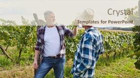  Presentation with checks - Theme with weinbauer-checks-the-ripeness background and a lemonade colored foreground