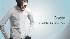  Presentation with monkey - Audience pleasing slide deck consisting of weird - annoyed monkey shouting on turquoise backdrop and a sky blue colored foreground