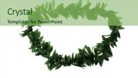  Presentation with hawaiian - Colorful slide set enhanced with welcome party - green leaf hawaiian lei isolated backdrop and a seafoam green colored foreground