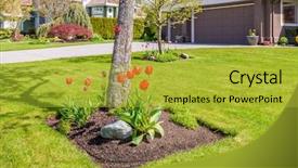  Presentation with cannabis plane canada - Beautiful PPT theme featuring welcome ppts - gorgeous outdoor landscape in vancouver backdrop and a  colored foreground