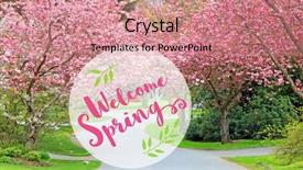  Presentation with neighborhood - Cool new PPT theme with welcome spring message blooming pink backdrop and a coral colored foreground