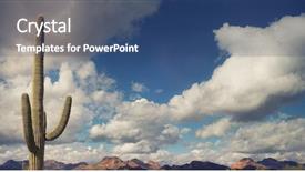  Presentation with saguaro - Presentation design enhanced with welcome western - saguaro cactus vast arizona open background and a ocean colored foreground