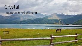  Presentation with well - PPT theme featuring well-cared bay horse is grazed behind a fencing on coast of mountain lake background and a light blue colored foreground