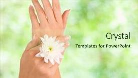  Presentation with well - PPT theme featuring well-groomed beautiful female hands background and a soft green colored foreground