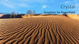  Presentation with sand dunes - Theme with well-groomed-camel-decorated background and a light blue colored foreground