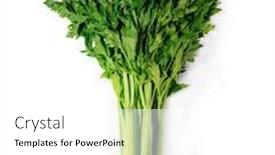  Presentation with celery - Slide deck with well-grown-fresh-celery background and a white colored foreground