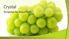  Presentation with grown - Presentation having well grown green grape isolated on white background background and a blonde colored foreground