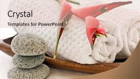  Presentation with wellness - Slides with portrait of young attractive blonde woman holding little dog on her hands background and a coral colored foreground