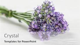  Presentation with lavender flowers - Cool new slide deck with wellness treatments with lavender flowers on wooden table spa still-life backdrop and a white colored foreground
