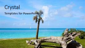  Presentation with florida beach - Colorful PPT theme enhanced with west beach fort zachary taylor backdrop and a light blue colored foreground