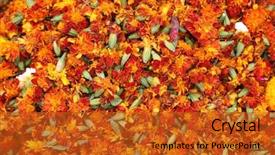  Presentation with purple flowers and oils - Theme featuring west bengal - flowers and garlands for sale background and a red colored foreground