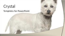  Presentation with old west - Audience pleasing presentation theme consisting of  backdrop and a  colored foreground