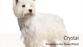  Presentation with west - Presentation design consisting of  background and a  colored foreground