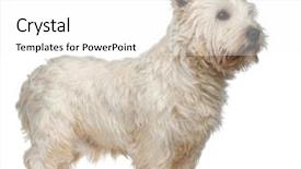  Presentation with old west - Slide deck featuring  background and a  colored foreground