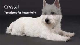  Presentation with west - Presentation theme enhanced with  background and a  colored foreground