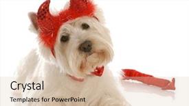  Presentation with west - Presentation having west highland white terrier dressed up as a devil background and a lemonade colored foreground