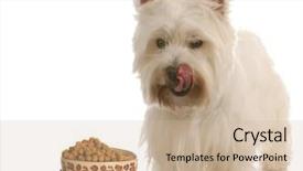  Presentation with food white - Theme featuring licking lips standing beside food background and a soft green colored foreground