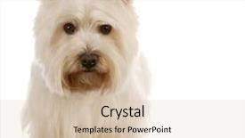  Presentation with west - Slides with  background and a  colored foreground