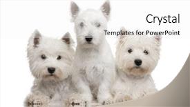  Presentation with west - Presentation theme enhanced with  background and a  colored foreground