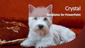  Presentation with west - Audience pleasing PPT layouts consisting of  backdrop and a  colored foreground