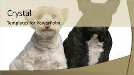  Presentation with old west - Cool new slide deck with  backdrop and a  colored foreground