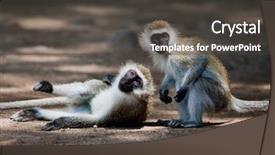  Presentation with west africa - PPT theme featuring west national park kenya africa background and a dark gray colored foreground