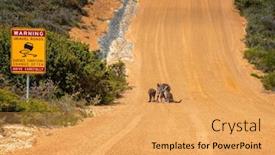  Presentation with outback australia - Beautiful PPT layouts featuring western-australia-outback-track backdrop and a yellow colored foreground