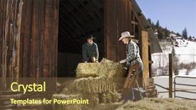  Presentation with barn - Amazing theme having western cowboy - attractive young man and woman backdrop and a tawny brown colored foreground