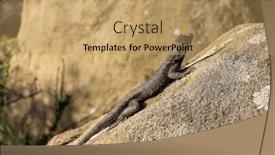  Presentation with california - Slides with western-fence-lizard-with-dark background and a coral colored foreground