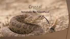  Presentation with western - Audience pleasing theme consisting of western rattlesnake strike ready backdrop and a coral colored foreground