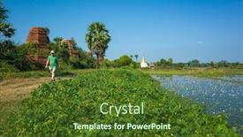  Presentation with rice fields - PPT layouts with western-tourist-walking-in-rural background and a tawny brown colored foreground