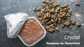  Presentation with pet food - Colorful presentation design enhanced with wet and dry pet food cat or dog pate on old table top view backdrop and a dark gray colored foreground